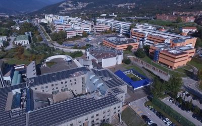 Esplorando la demografia studentesca all’Università di Salerno