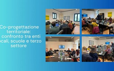 Co-designing for the community: collaboration between local authorities, schools and the third sector