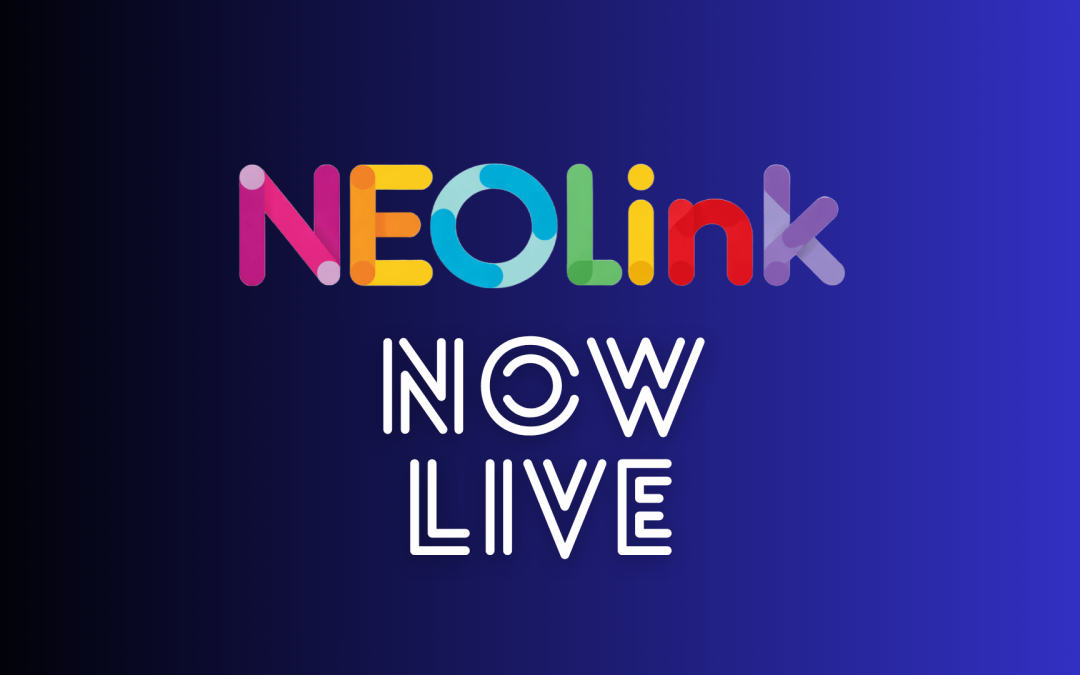 NEOLink is live: highlights from the April 21 workshop at the University of Salerno